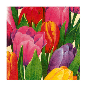 Tulip Time Napkin. 20 Pack